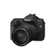 Illustration for article titled Canon EOS 50D Official: 15-Megapixel Prosumer DSLR Is First With Digic 4 Processor